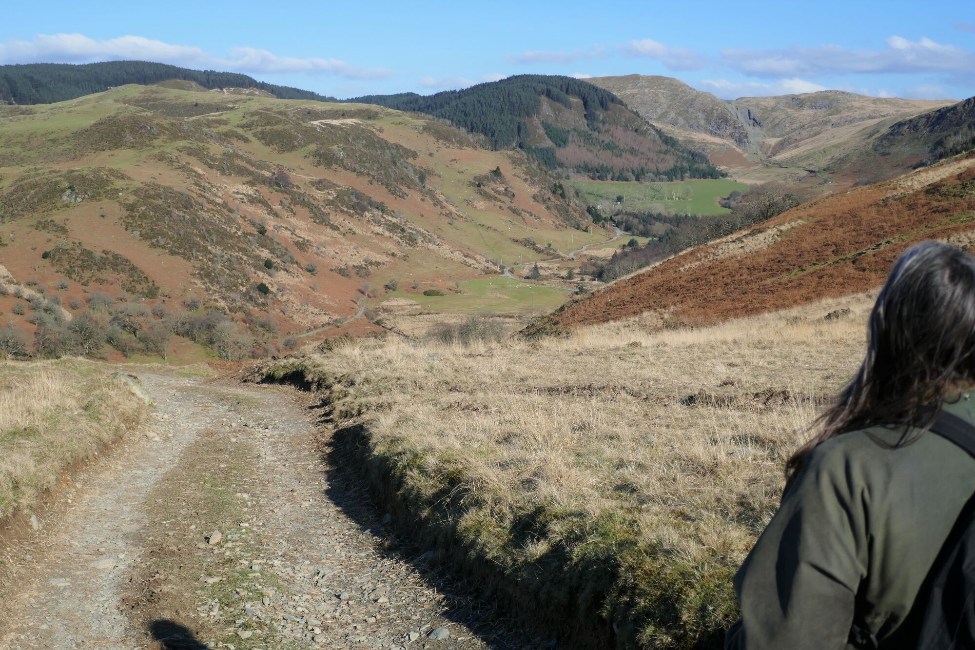 RachelSeabrook.net | Wild Walking | Cwm Cyneiniog and Craig y Pistyll | pic48